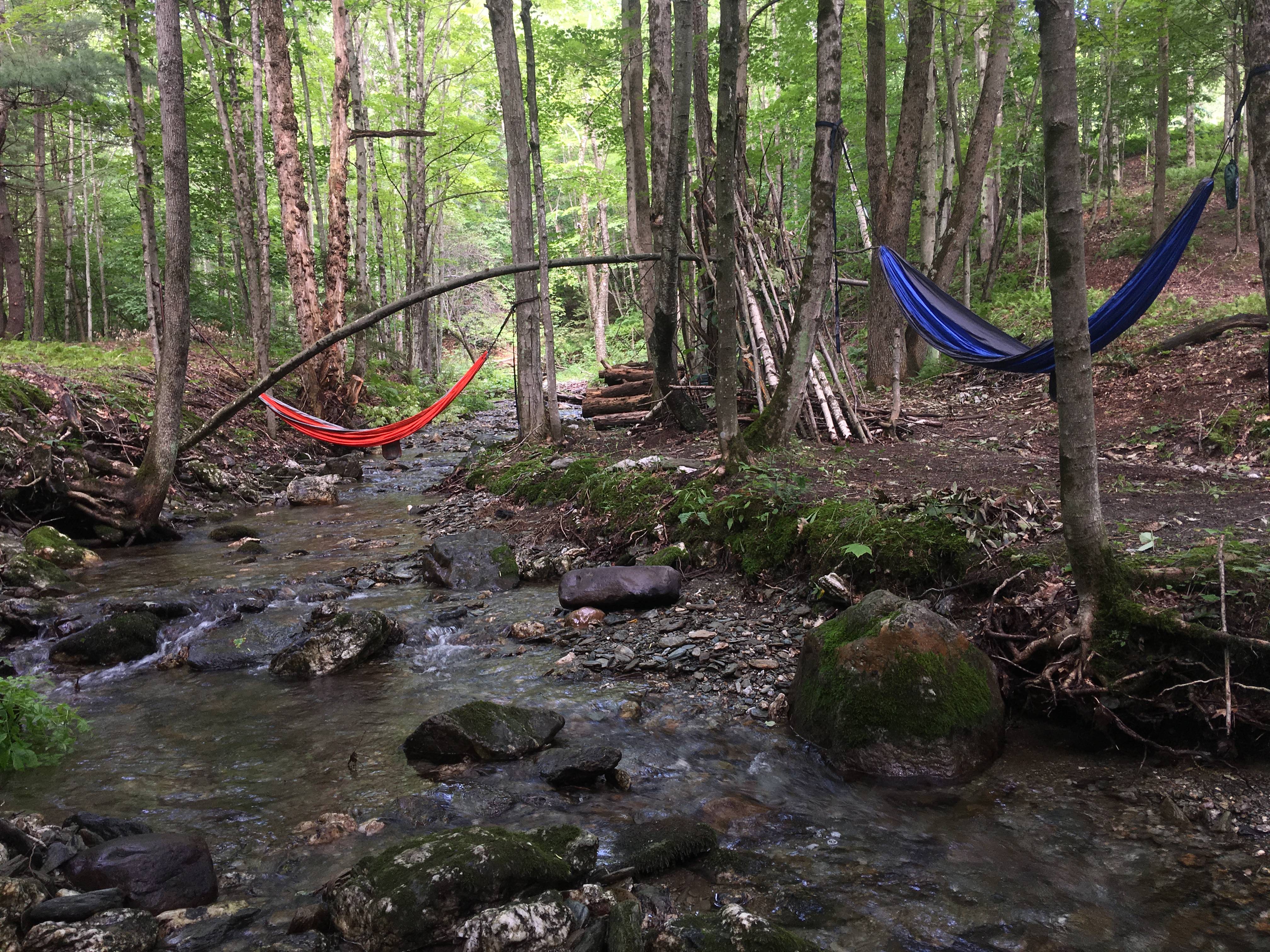 hammocks on the creek