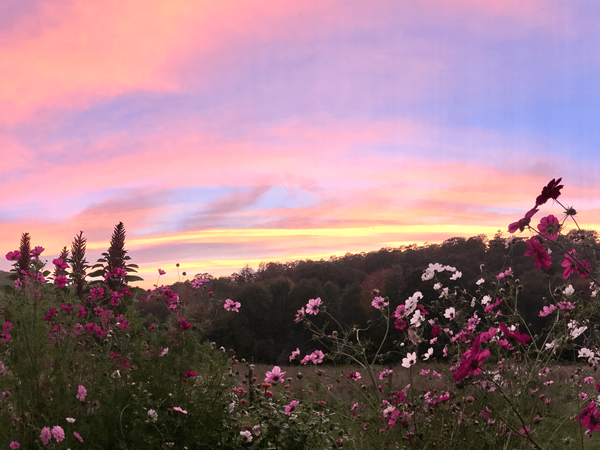 qi gong + meditation intensive June 28 –&nbsp;30