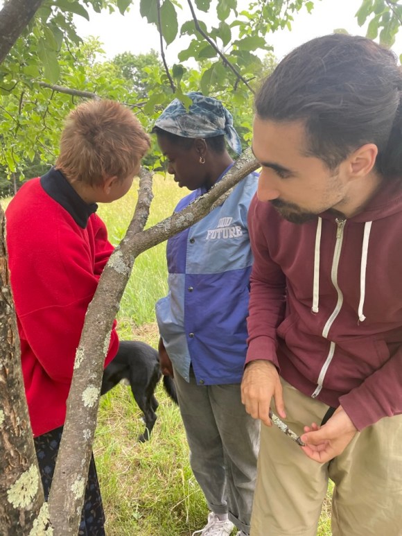 david and others in the trees