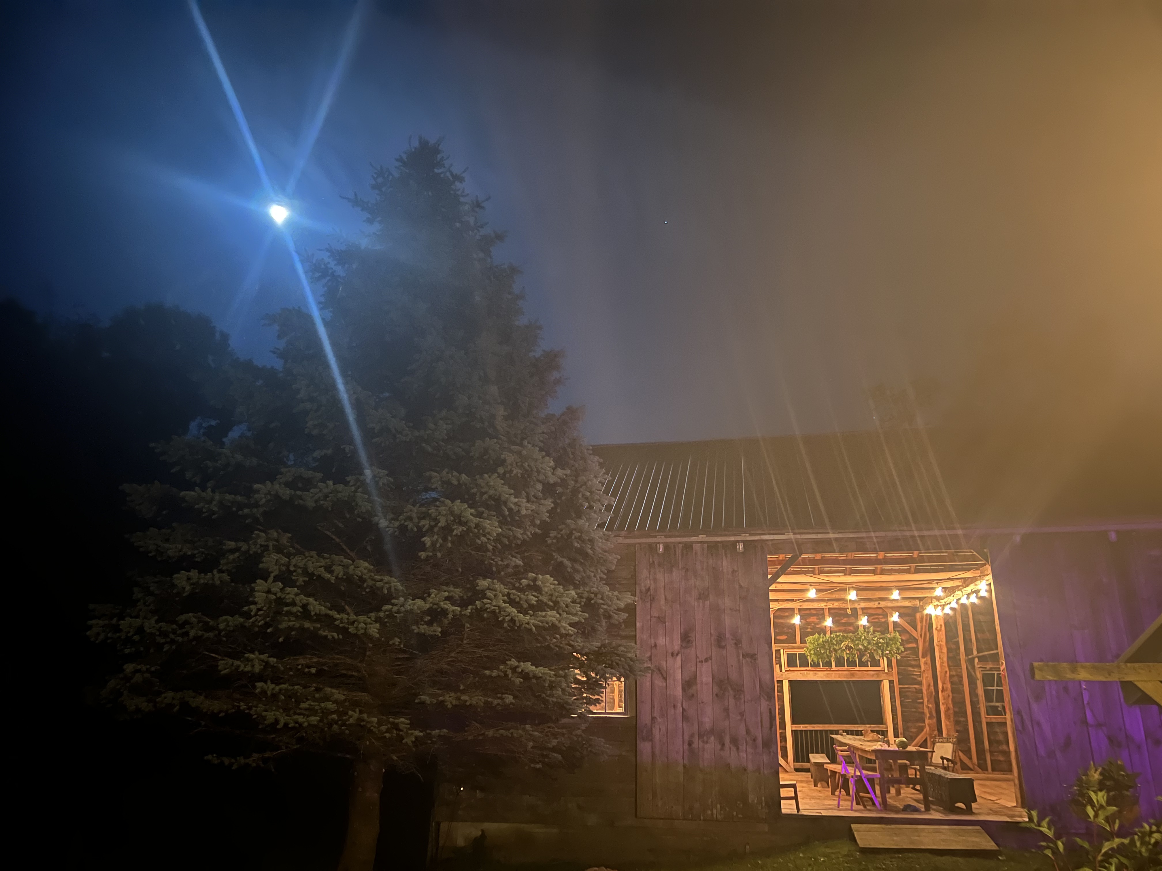 after the performative meal