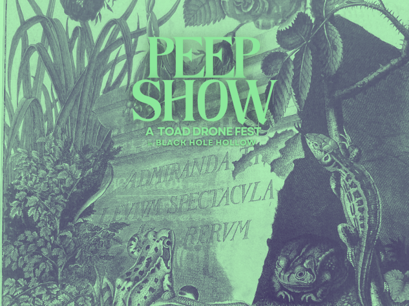PEEP SHOW // MAY&nbsp;2025