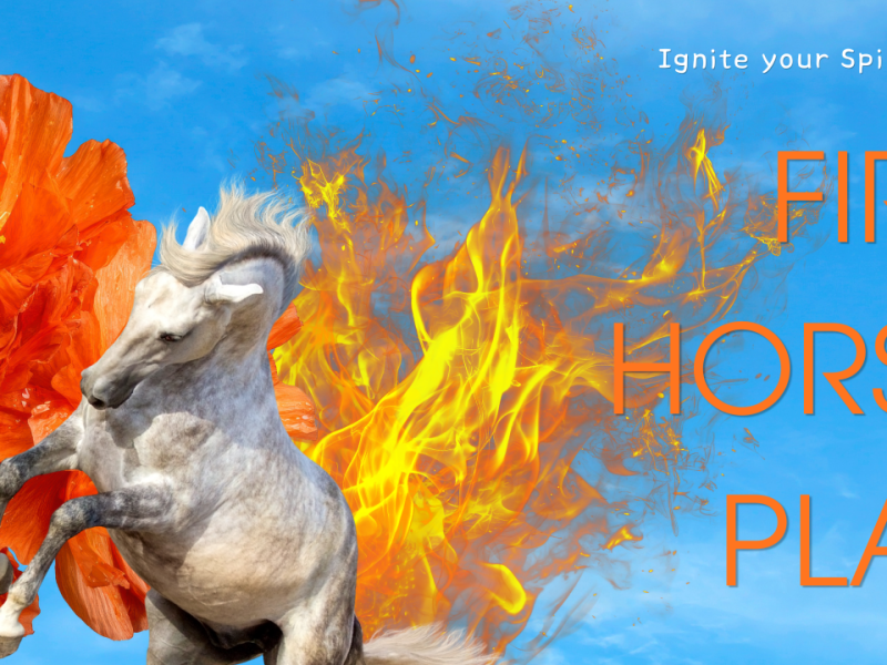 FIRE HORSE PLAY